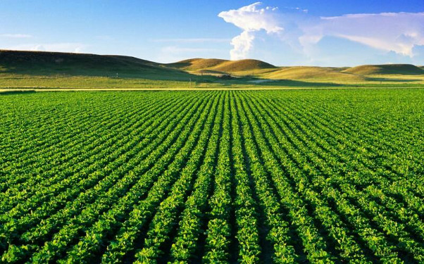 Đất nông nghiệp là loại đất có thời hạn sử dụng
